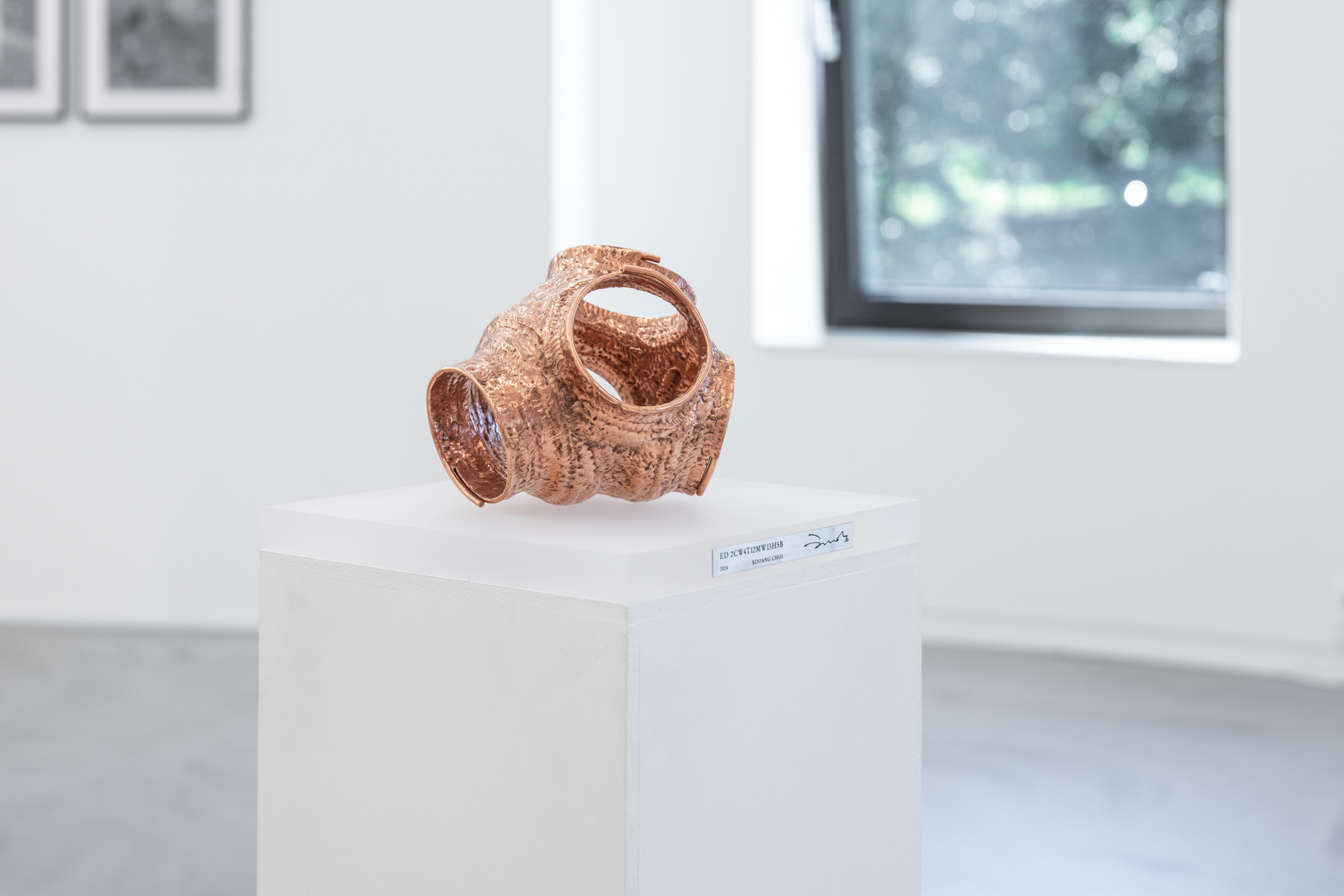 Xooang Choi_ED2CW4T12MW13H5B, 2024, copper, acryl, 16.5x25x25cm